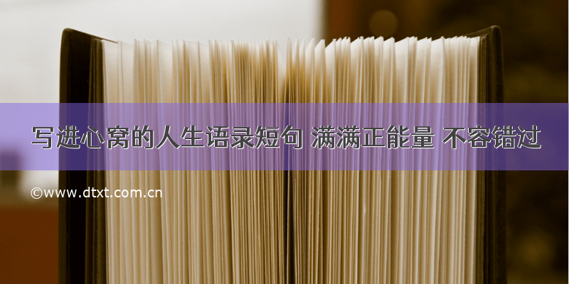 写进心窝的人生语录短句 满满正能量 不容错过