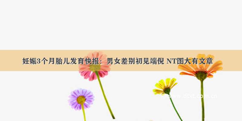 妊娠3个月胎儿发育快报：男女差别初见端倪 NT图大有文章