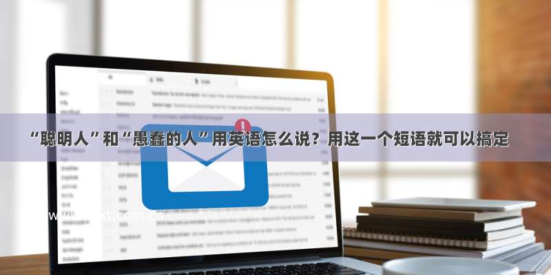 “聪明人”和“愚蠢的人”用英语怎么说？用这一个短语就可以搞定