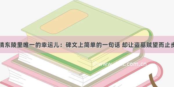 清东陵里唯一的幸运儿：碑文上简单的一句话 却让盗墓贼望而止步