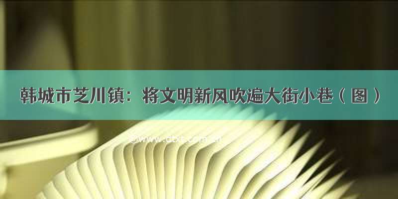 韩城市芝川镇：将文明新风吹遍大街小巷（图）