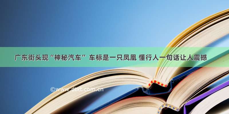 广东街头现“神秘汽车” 车标是一只凤凰 懂行人一句话让人震撼