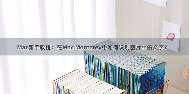Mac新手教程：在Mac Monterey中如何识别图片中的文字？