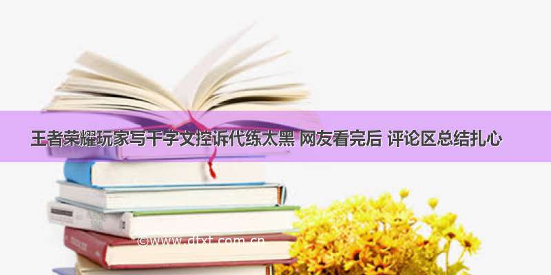 王者荣耀玩家写千字文控诉代练太黑 网友看完后 评论区总结扎心