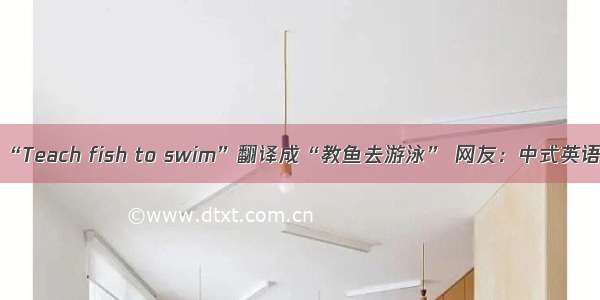 “Teach fish to swim”翻译成“教鱼去游泳” 网友：中式英语