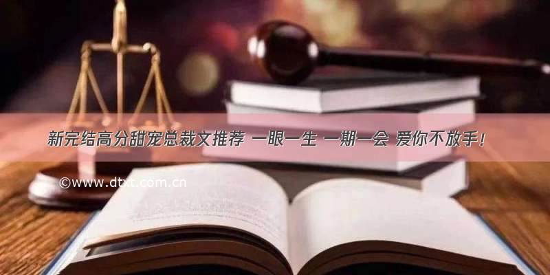 新完结高分甜宠总裁文推荐 一眼一生 一期一会 爱你不放手！