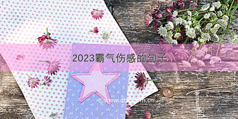 2023霸气伤感的句子