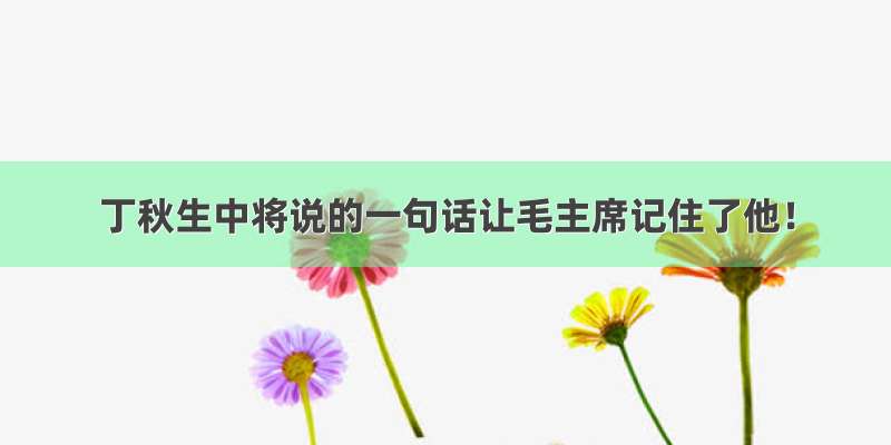 丁秋生中将说的一句话让毛主席记住了他！