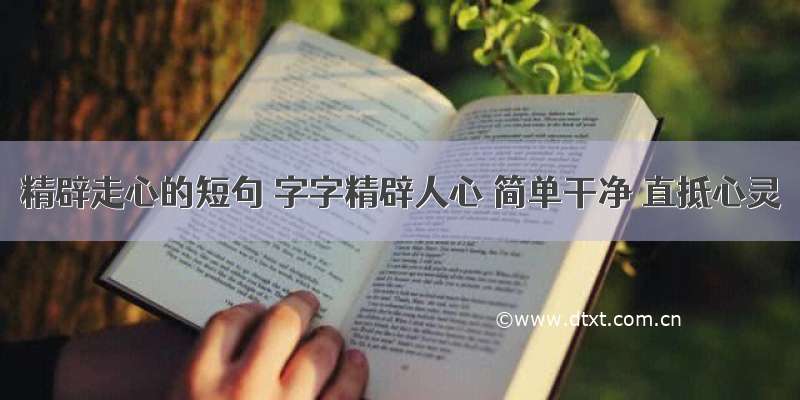 精辟走心的短句 字字精辟人心 简单干净 直抵心灵