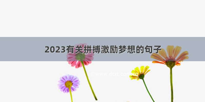 2023有关拼搏激励梦想的句子