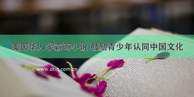 美国华人学霸写小说 鼓励青少年认同中国文化