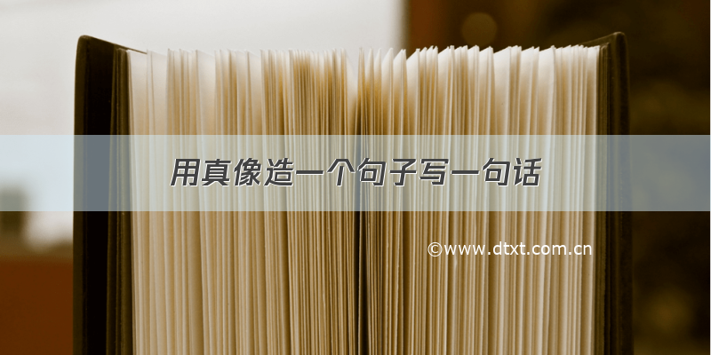 用真像造一个句子写一句话