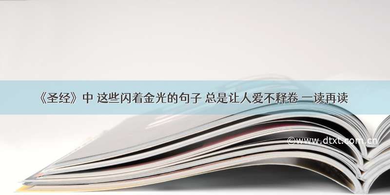 《圣经》中 这些闪着金光的句子 总是让人爱不释卷 一读再读