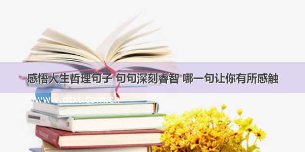 感悟人生哲理句子 句句深刻睿智 哪一句让你有所感触