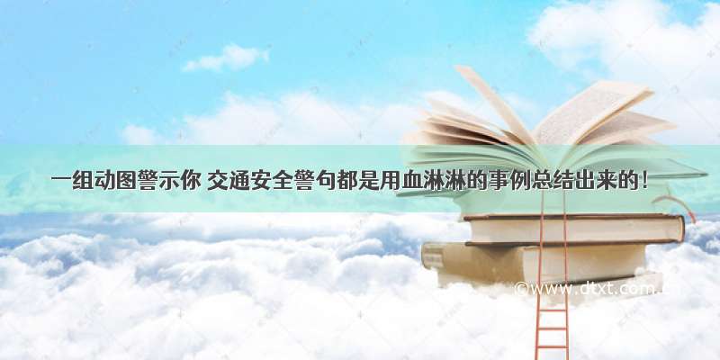 一组动图警示你 交通安全警句都是用血淋淋的事例总结出来的！