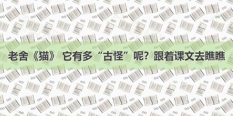 老舍《猫》 它有多“古怪”呢？跟着课文去瞧瞧