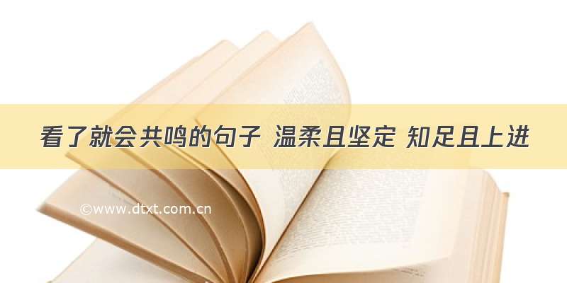 看了就会共鸣的句子 温柔且坚定 知足且上进