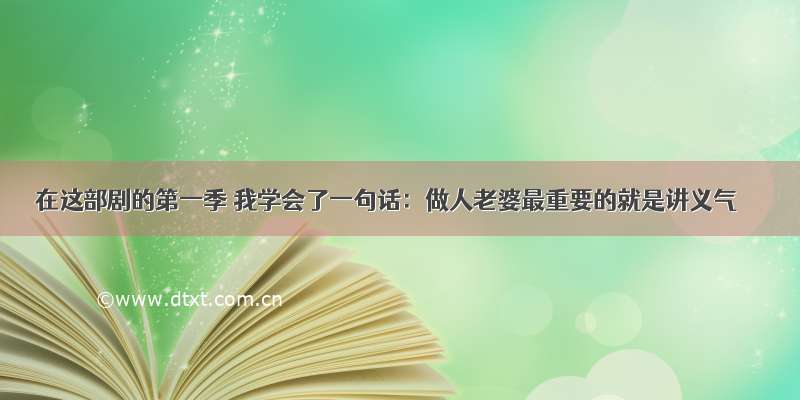 在这部剧的第一季 我学会了一句话：做人老婆最重要的就是讲义气