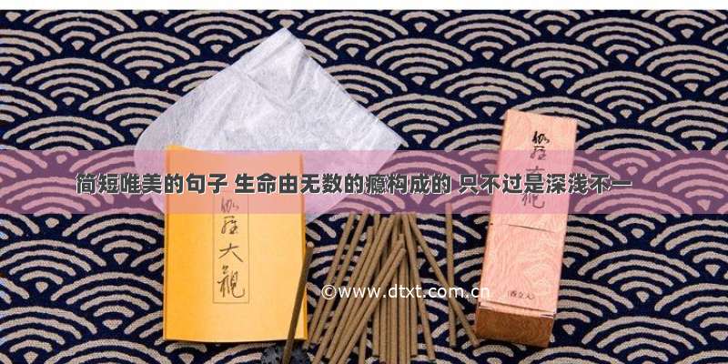 简短唯美的句子 生命由无数的瘾构成的 只不过是深浅不一