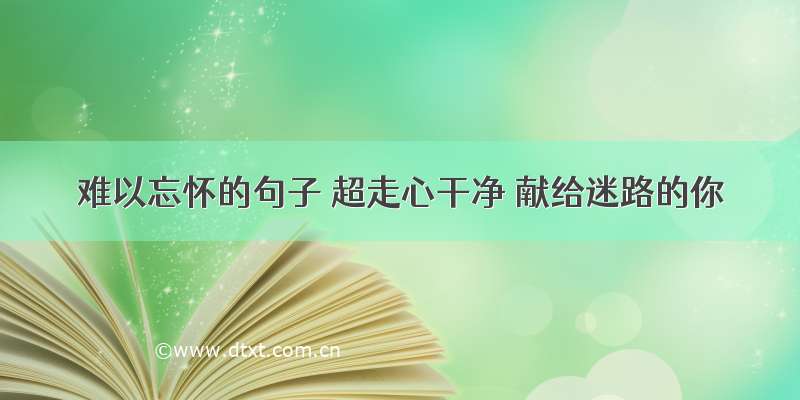 难以忘怀的句子 超走心干净 献给迷路的你