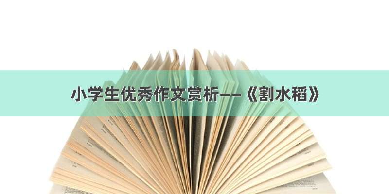 小学生优秀作文赏析——《割水稻》