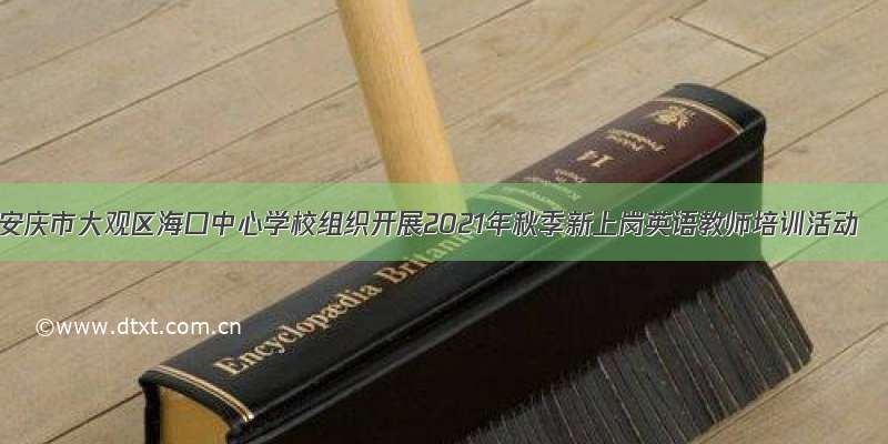 安庆市大观区海口中心学校组织开展2021年秋季新上岗英语教师培训活动