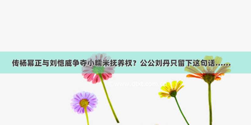 传杨幂正与刘恺威争夺小糯米抚养权？公公刘丹只留下这句话……