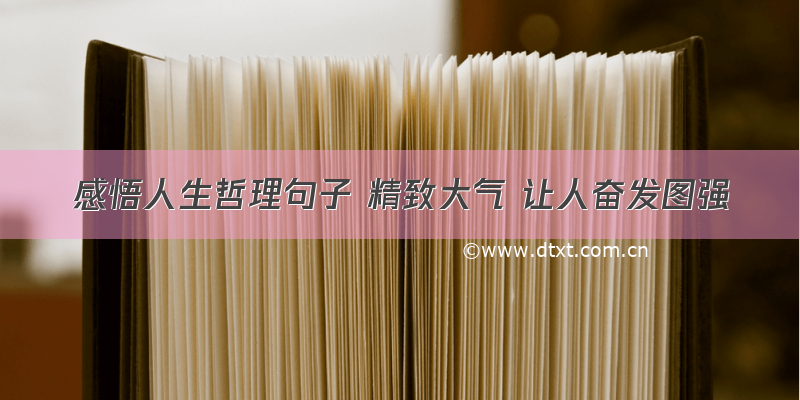 感悟人生哲理句子 精致大气 让人奋发图强