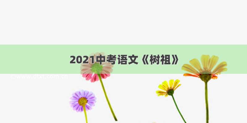 2021中考语文《树祖》