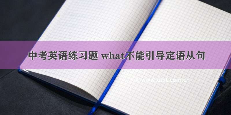 中考英语练习题 what不能引导定语从句