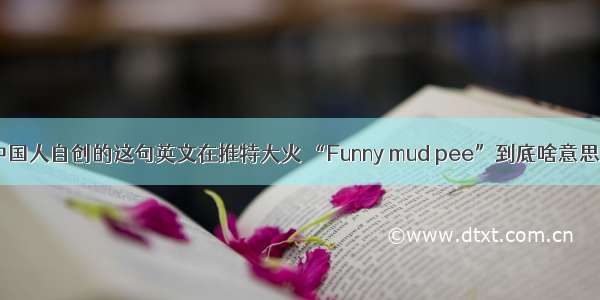 中国人自创的这句英文在推特大火 “Funny mud pee”到底啥意思？
