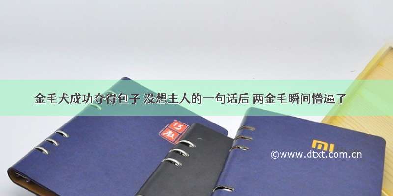 金毛犬成功夺得包子 没想主人的一句话后 两金毛瞬间懵逼了