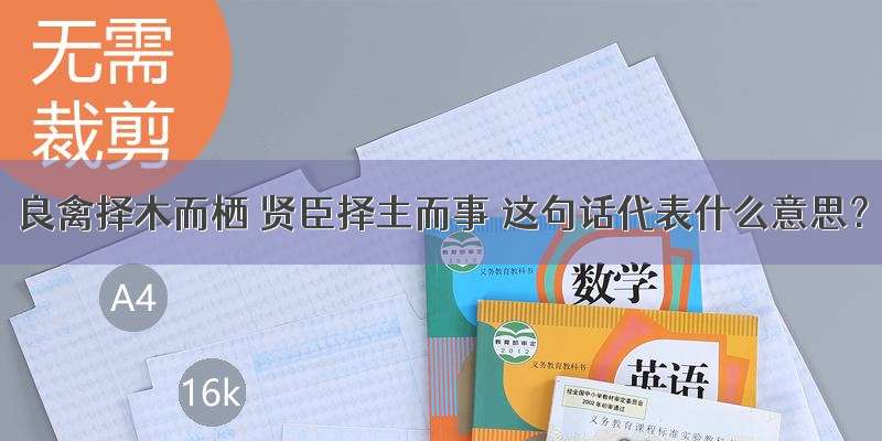 良禽择木而栖 贤臣择主而事 这句话代表什么意思？