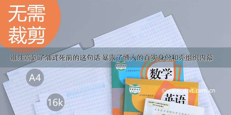 谁注意到了浦式死前的这句话 暴露了博人的真实身份和壳组织内幕