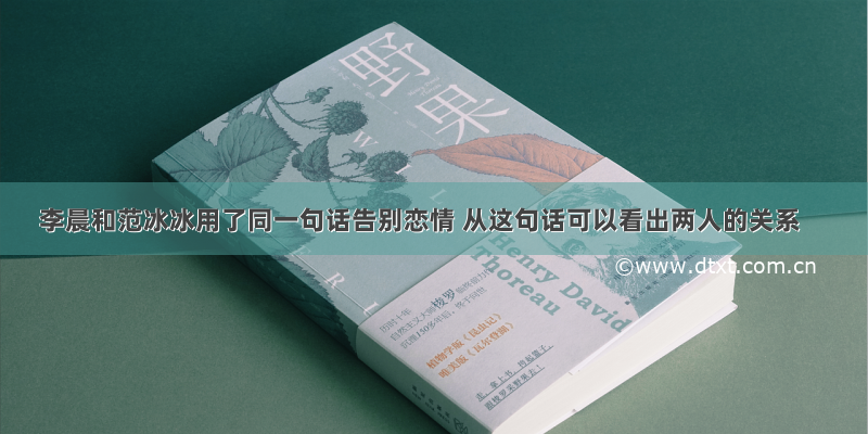 李晨和范冰冰用了同一句话告别恋情 从这句话可以看出两人的关系