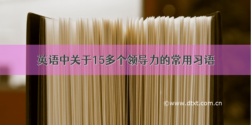 英语中关于15多个领导力的常用习语