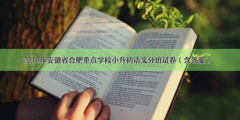2019年安徽省合肥重点学校小升初语文分班试卷（含答案）