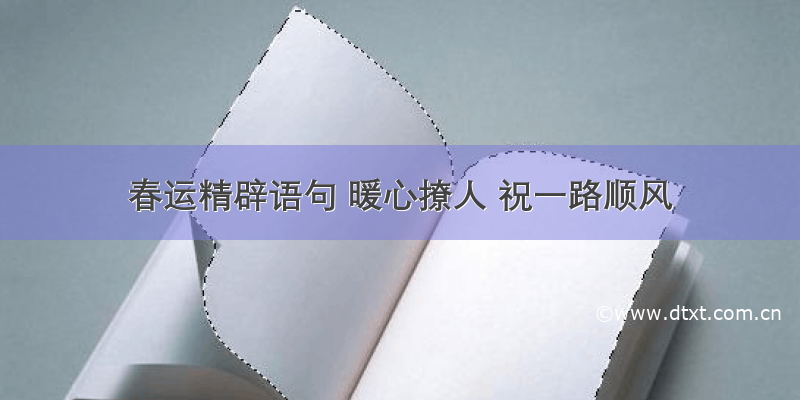 春运精辟语句 暖心撩人 祝一路顺风