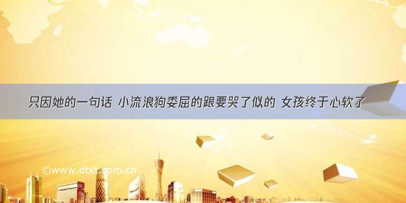 只因她的一句话 小流浪狗委屈的跟要哭了似的 女孩终于心软了