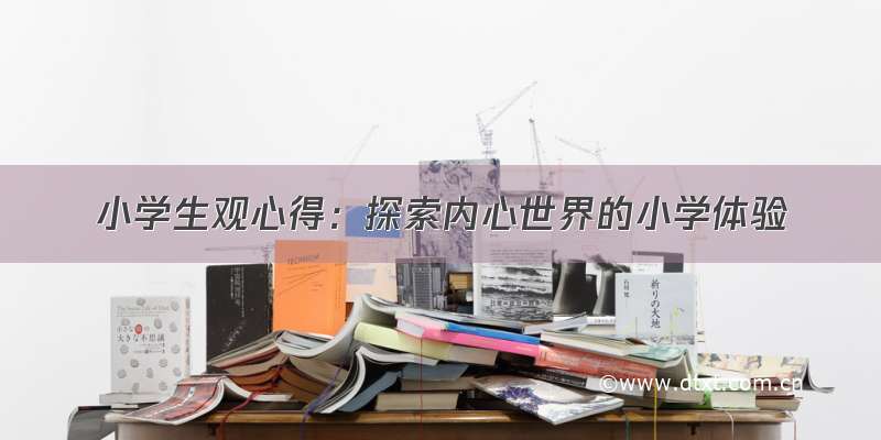 小学生观心得：探索内心世界的小学体验