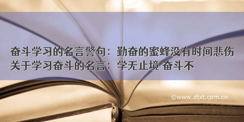 奋斗学习的名言警句：勤奋的蜜蜂没有时间悲伤
关于学习奋斗的名言：学无止境 奋斗不