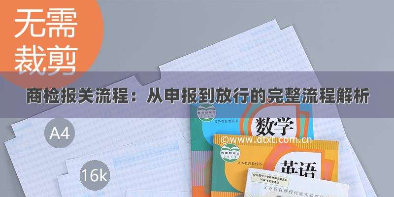 商检报关流程：从申报到放行的完整流程解析