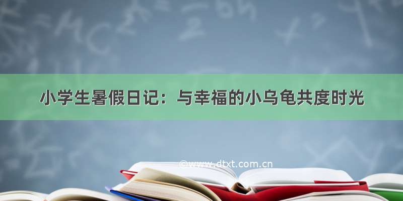 小学生暑假日记：与幸福的小乌龟共度时光