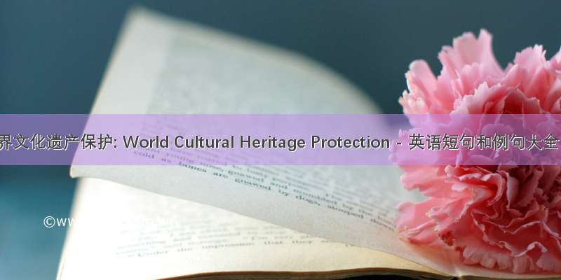 世界文化遗产保护: World Cultural Heritage Protection - 英语短句和例句大全