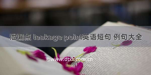 泄漏点 leakage point英语短句 例句大全