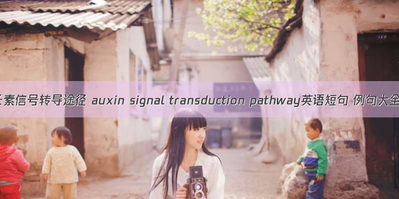 生长素信号转导途径 auxin signal transduction pathway英语短句 例句大全