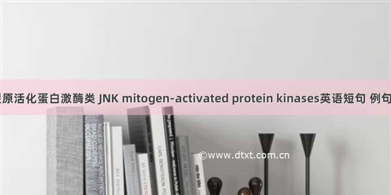 JNK丝裂原活化蛋白激酶类 JNK mitogen-activated protein kinases英语短句 例句大全