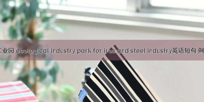 钢铁生态工业园 ecological industry park for iron and steel industry英语短句 例句大全