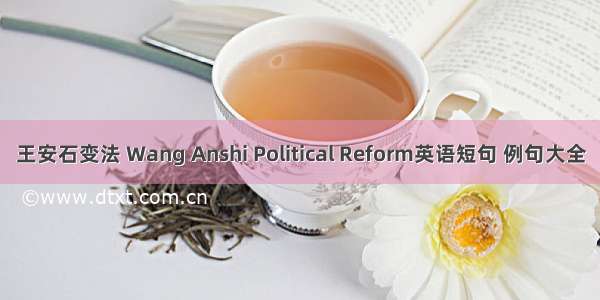王安石变法 Wang Anshi Political Reform英语短句 例句大全