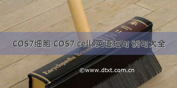 COS7细胞 COS7 cells英语短句 例句大全